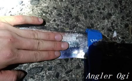 垂水でタチウオ！時合いは入れ食いに！