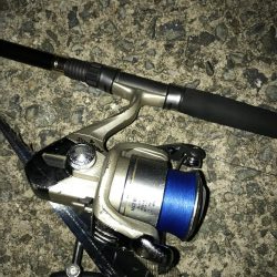 9月23日太刀魚元気