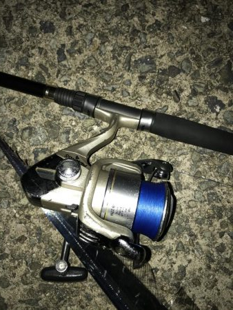 9月23日太刀魚元気