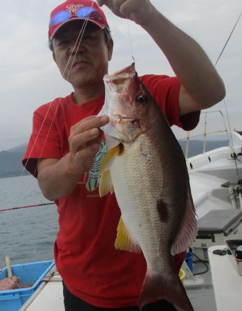 ネイリ・ハマチ釣り