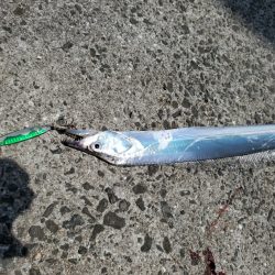 昼間の暑い中でも