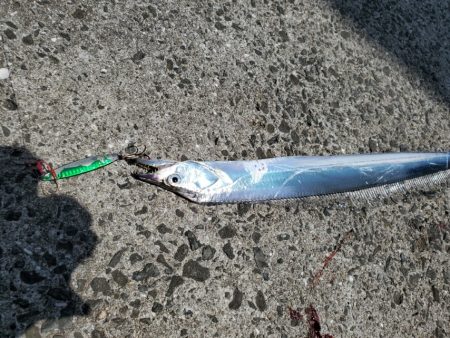 昼間の暑い中でも