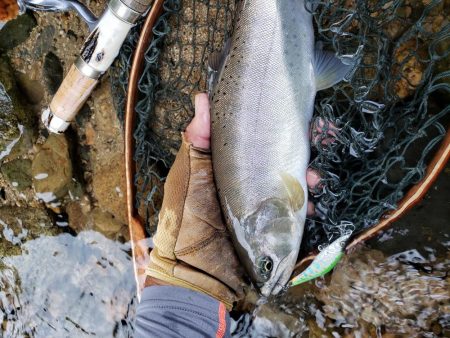 細身ですが尺ヤマメ‼️