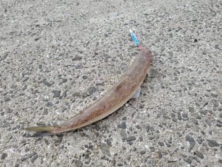 ボウズよりはマシか…。