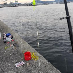 初和田防!魚種豊富!