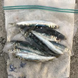 渋いし、涼しい