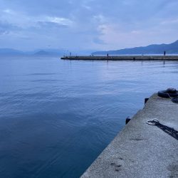 エギング　リベンジ編