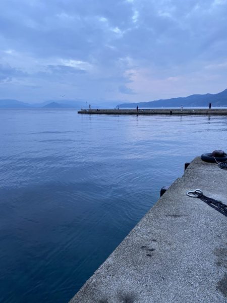 エギング　リベンジ編