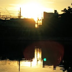 鯉の釣り場100回コツコツと