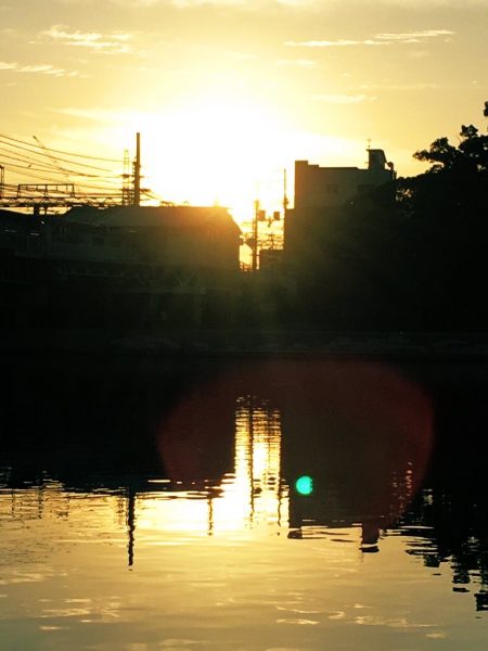 鯉の釣り場100回コツコツと