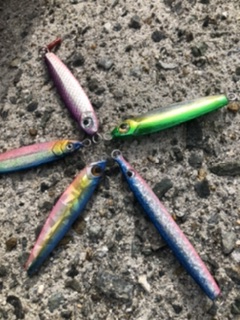 久しぶりの青物