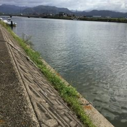 秋の風物詩ハゼ釣り