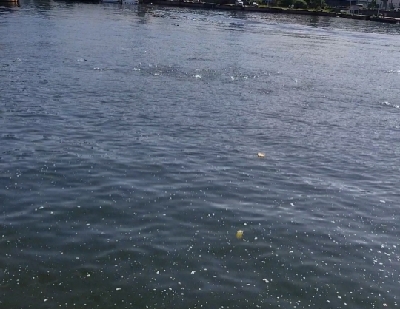 サバゲーで癒された