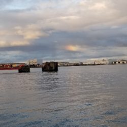 サバ　SABERも  渋かった