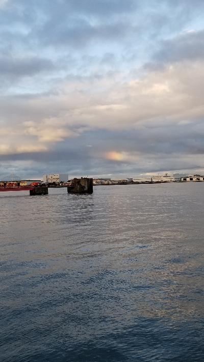 サバ　SABERも  渋かった