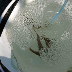 連休最終日にやっと貧果脱出