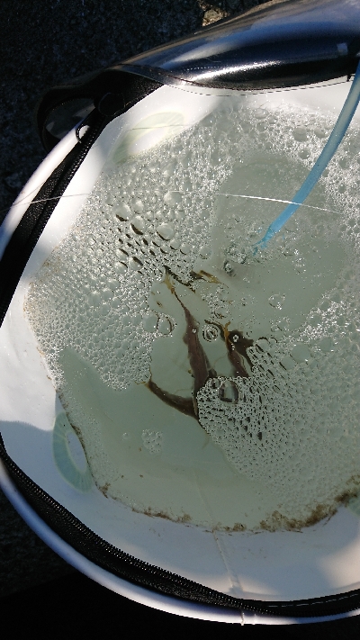 連休最終日にやっと貧果脱出