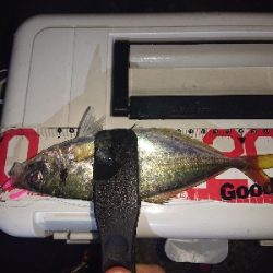 バラシおおすぎ