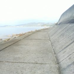 苅屋海岸のキス釣り