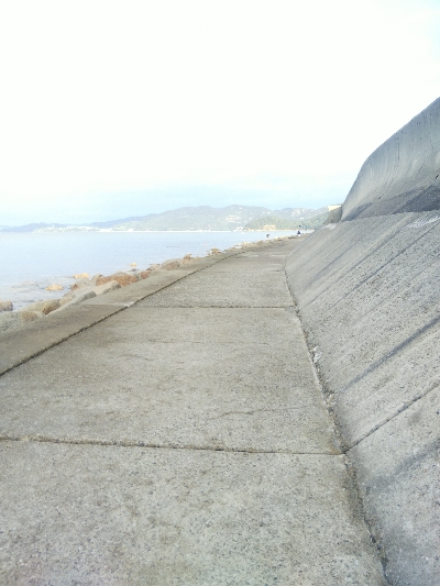 苅屋海岸のキス釣り