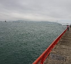 今年初のカワハギ狙い