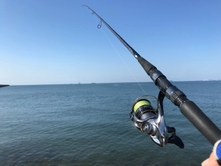 マゴチがコチーン！