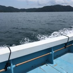 台風前にまた筏に‼️