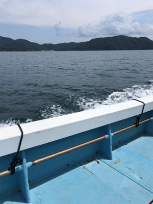 台風前にまた筏に‼️