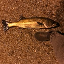 大崎上島ライトゲーム①