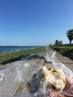 台風前のうねりの晴れ間に石ゴカイ投げ釣り