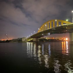 アジングしましたがサバだけ