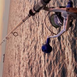 忙しい合間をぬって、、、