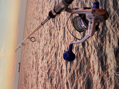 忙しい合間をぬって、、、