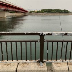 貝塚人工島水路でエーちゃん❗️