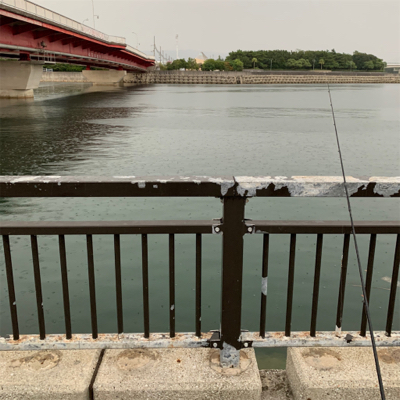 貝塚人工島水路でエーちゃん❗️