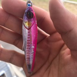 ネリゴが釣れたぞーヽ(^0^)ノ