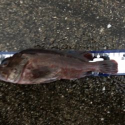 ゲリラ豪雨で・・・