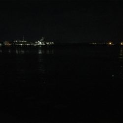 誘えばアタリ多数