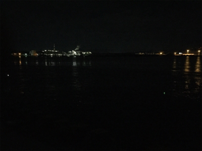 誘えばアタリ多数