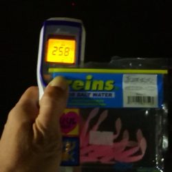 アジング練習 185