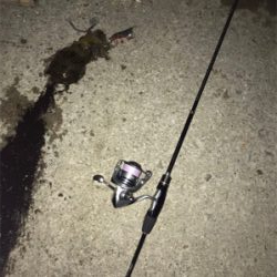 初佐渡島ライトゲーム