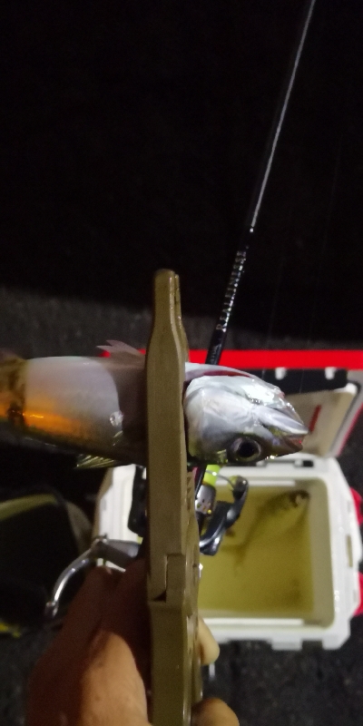 アジング練習 186