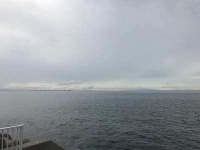 太刀魚調査とハマチ君