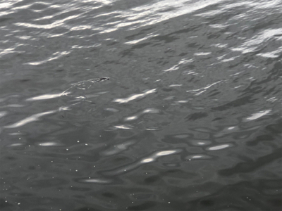 青物!ミニ波止でサワラさん(^^)