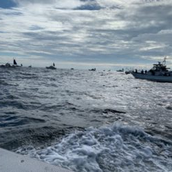 須磨沖タチウオジギング