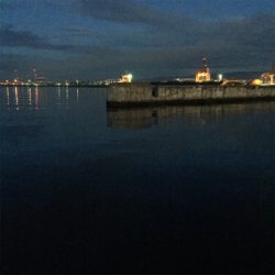 大阪湾奥アジング サバーー