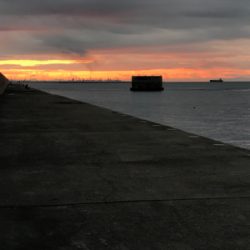 小型が多かったが4枚