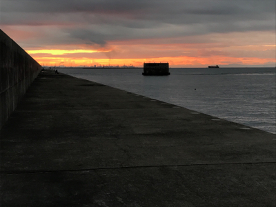 小型が多かったが4枚