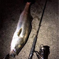 大阪湾奥パトロール