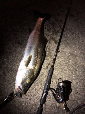 大阪湾奥パトロール